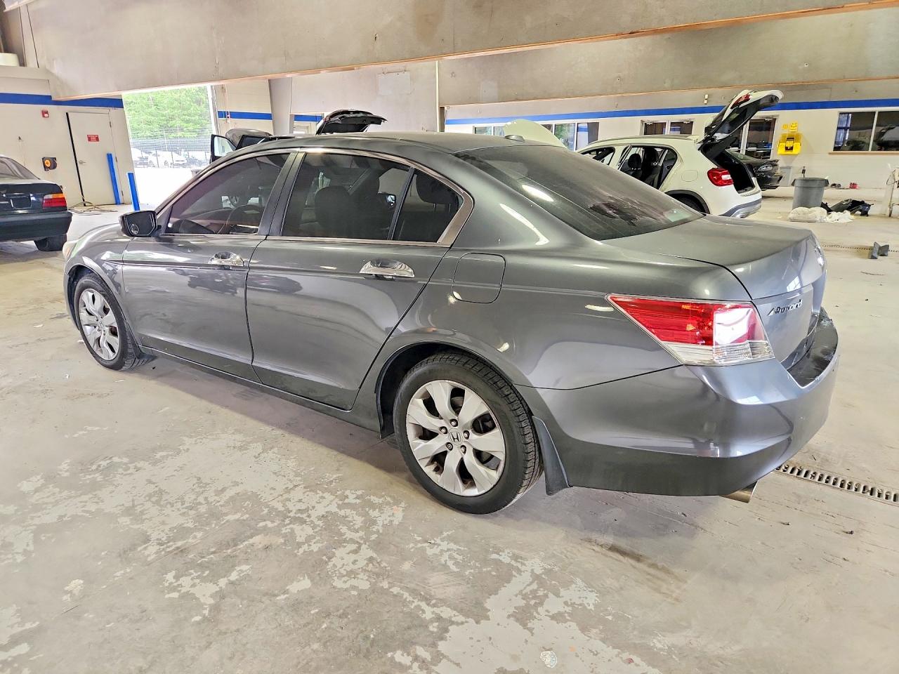 2010 Honda Accord Exl Gray vin: 1HGCP3F82AA019105