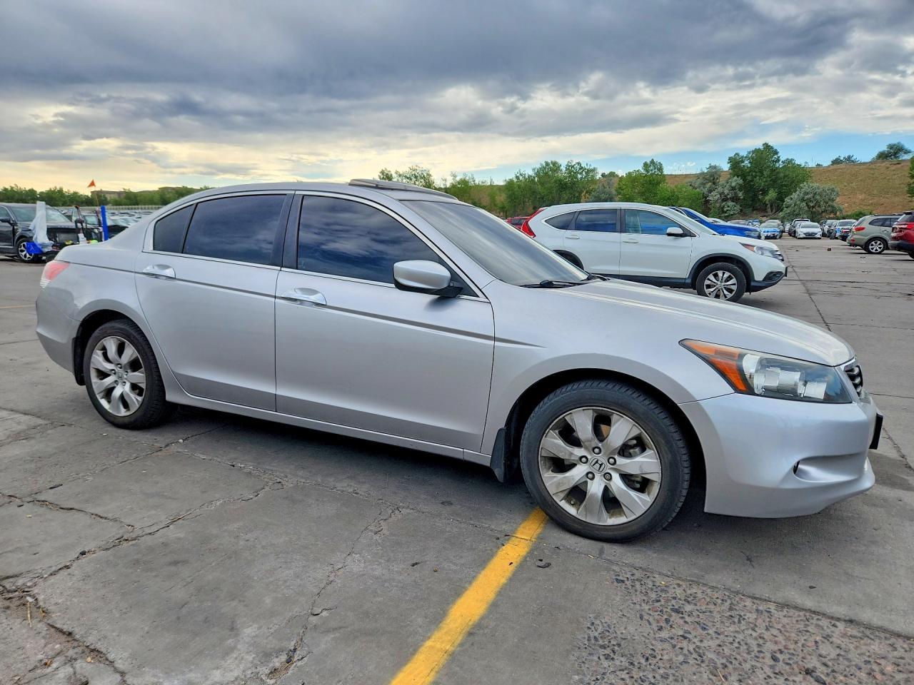 2010 Honda Accord Exl Silver vin: 1HGCP3F82AA028404