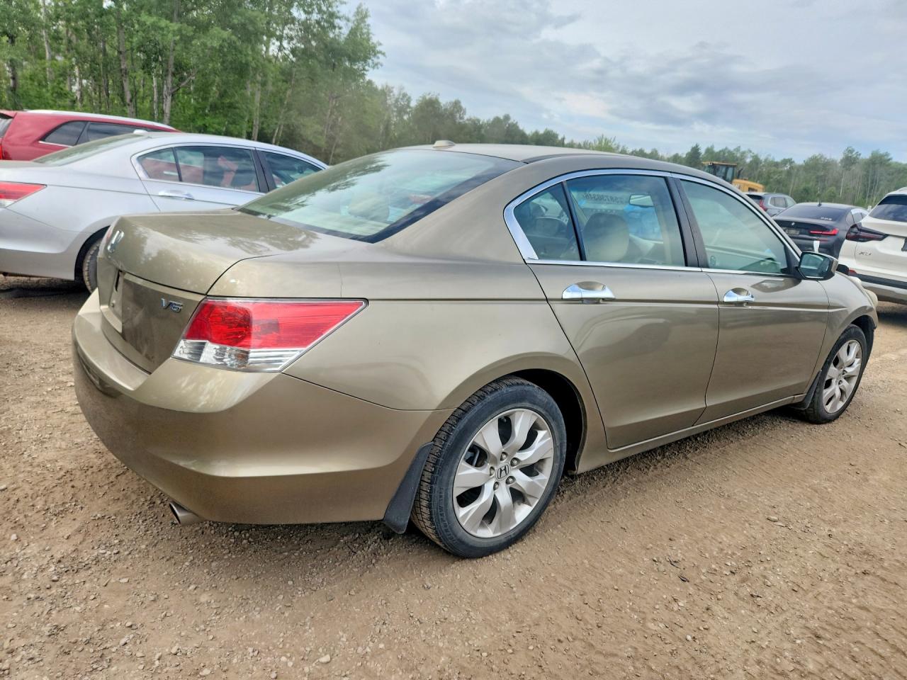 2010 Honda Accord Exl Gold vin: 1HGCP3F82AA800691