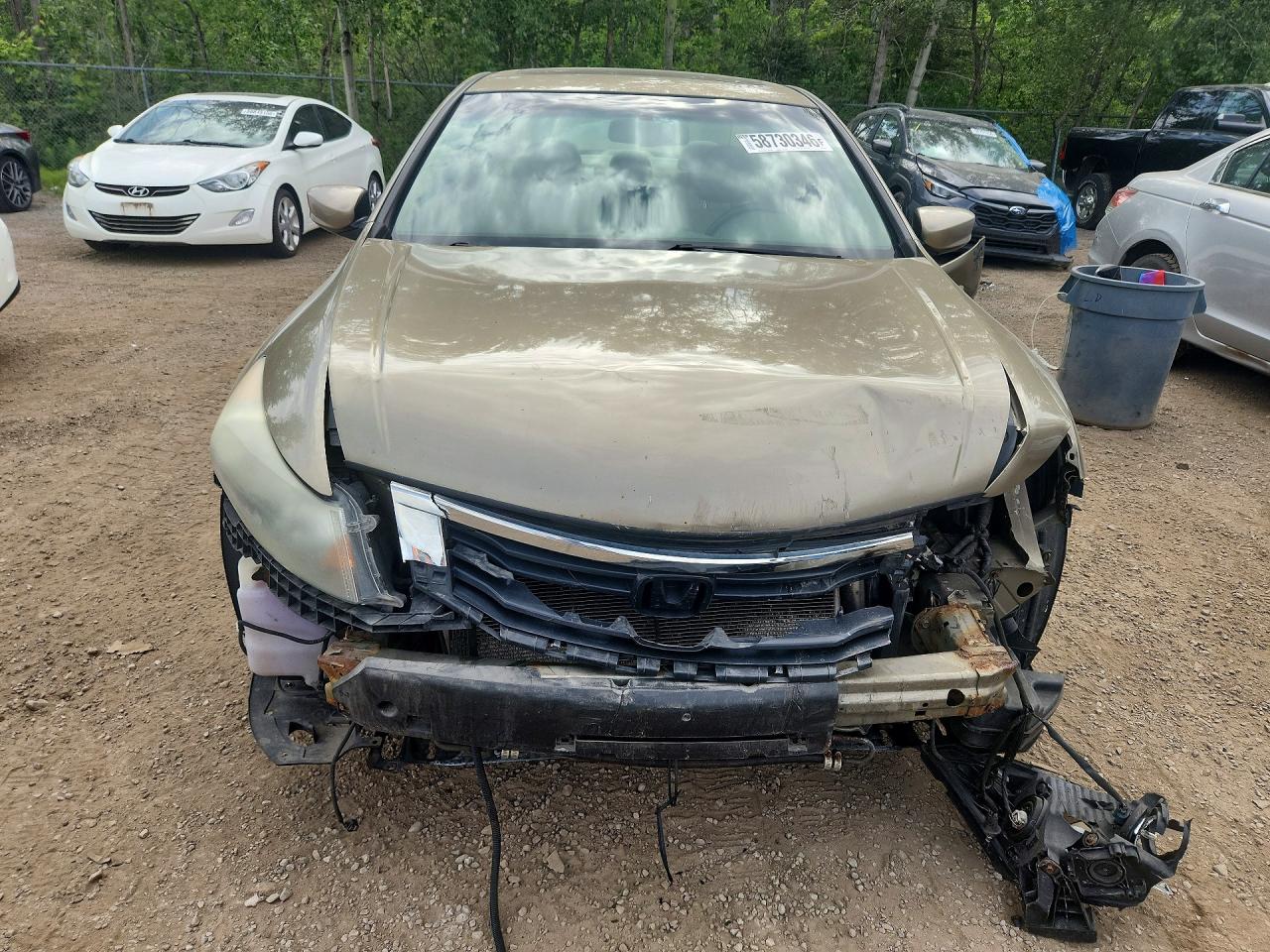 2010 Honda Accord Exl Gold vin: 1HGCP3F82AA800691