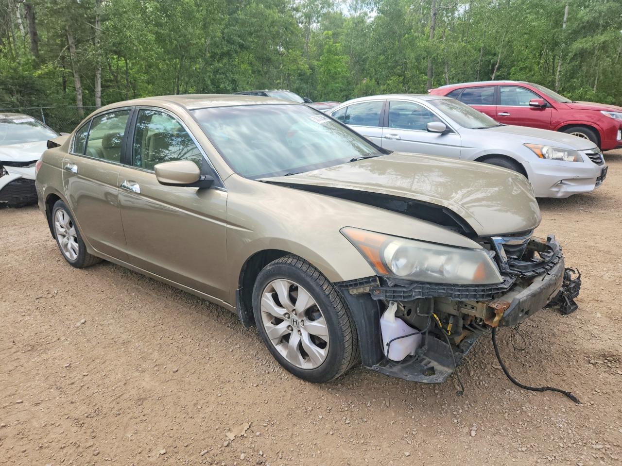 2010 Honda Accord Exl Gold vin: 1HGCP3F82AA800691
