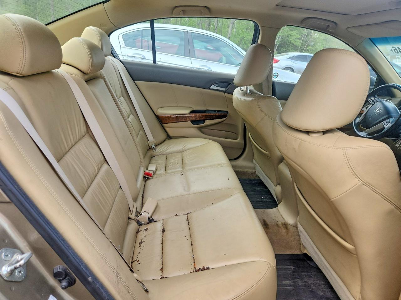 2010 Honda Accord Exl Gold vin: 1HGCP3F82AA800691