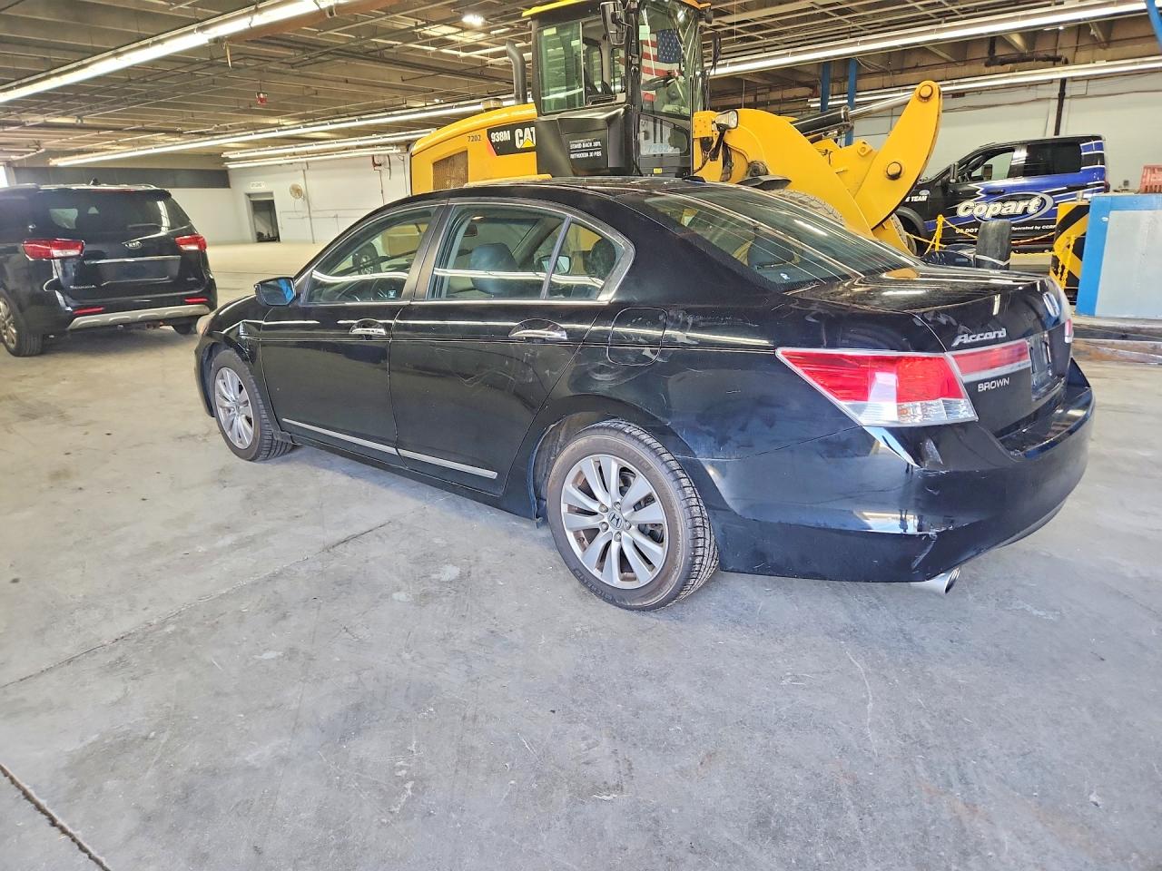 2011 Honda Accord Exl Black vin: 1HGCP3F82BA001401