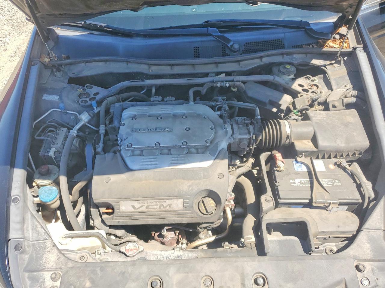 2011 Honda Accord Exl Black vin: 1HGCP3F82BA013371