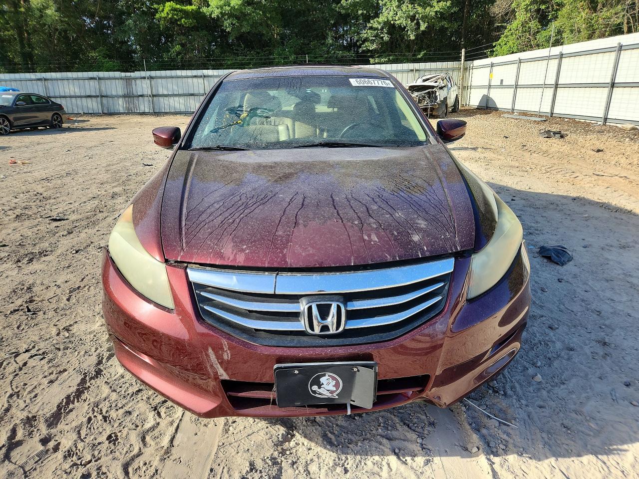 2011 Honda Accord Exl Burgundy vin: 1HGCP3F82BA015346