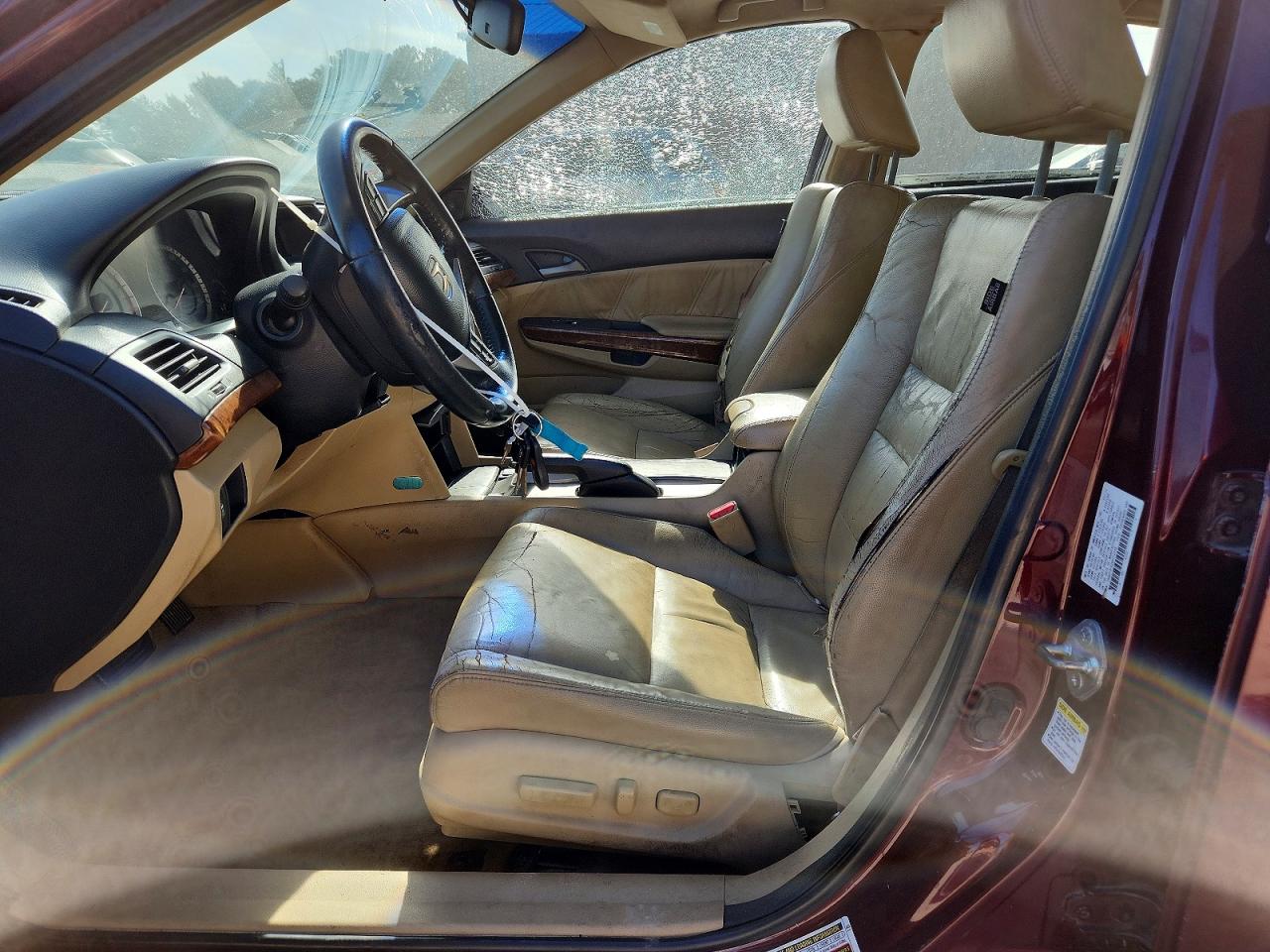 2011 Honda Accord Exl Burgundy vin: 1HGCP3F82BA015346