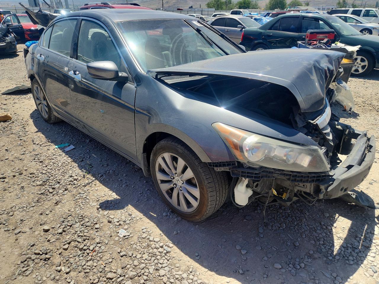 2011 Honda Accord Exl Серый vin: 1HGCP3F82BA020370