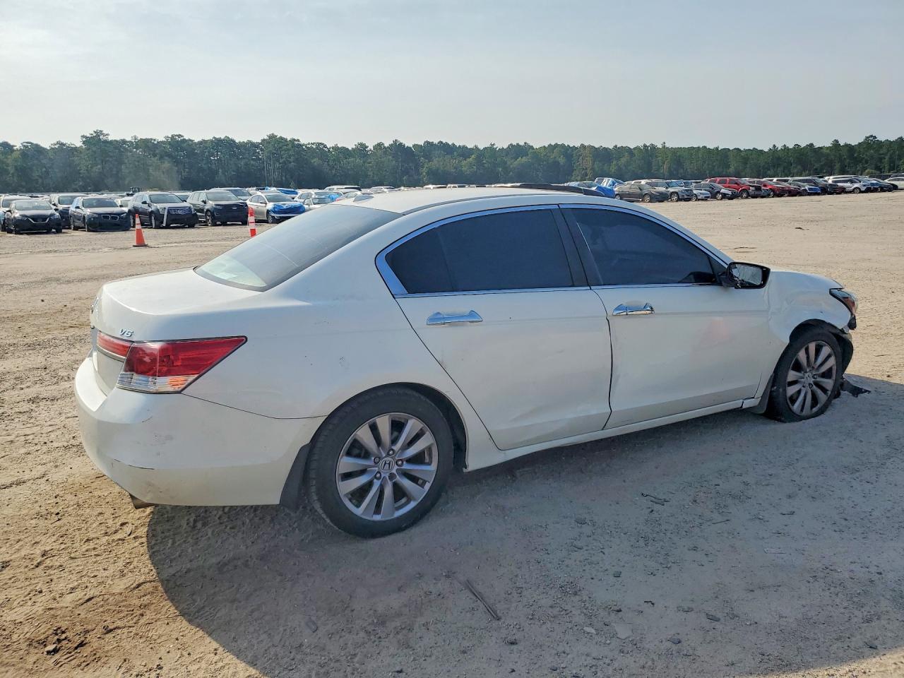 2011 Honda Accord Exl White vin: 1HGCP3F82BA024208