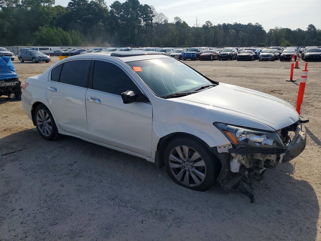 2011 Honda Accord Exl White vin: 1HGCP3F82BA024208