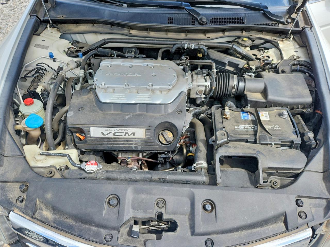 2011 Honda Accord Exl Белый vin: 1HGCP3F82BA031093