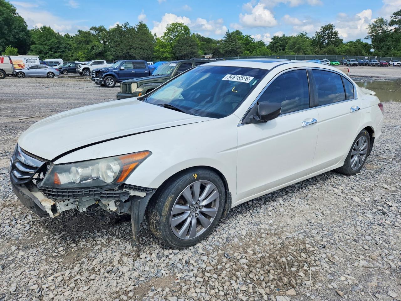 2011 Honda Accord Exl Белый vin: 1HGCP3F82BA031093