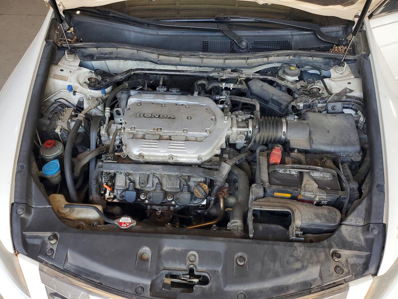 2012 Honda Accord Exl White vin: 1HGCP3F82CA021570