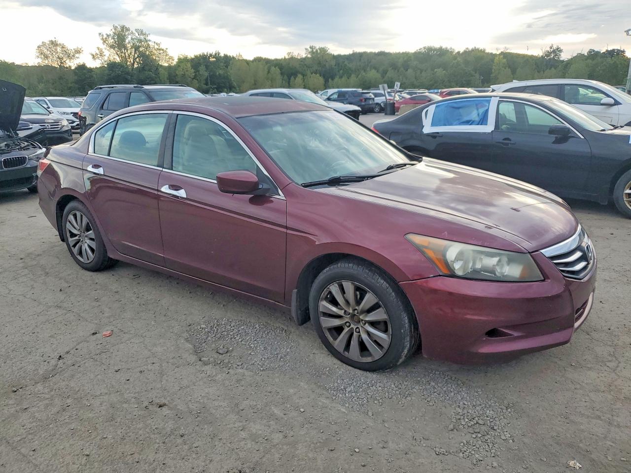 2012 Honda Accord Exl Maroon vin: 1HGCP3F82CA022802