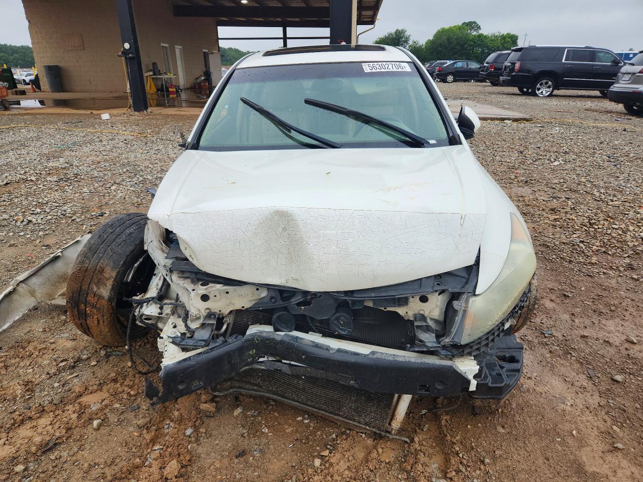 2010 Honda Accord Exl White vin: 1HGCP3F83AA001406