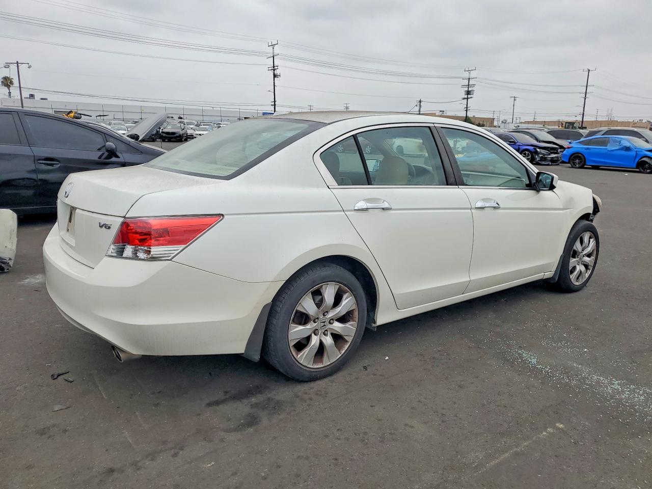 2010 Honda Accord Exl Белый vin: 1HGCP3F83AA001955