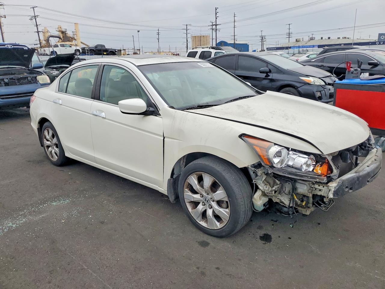 2010 Honda Accord Exl Белый vin: 1HGCP3F83AA001955