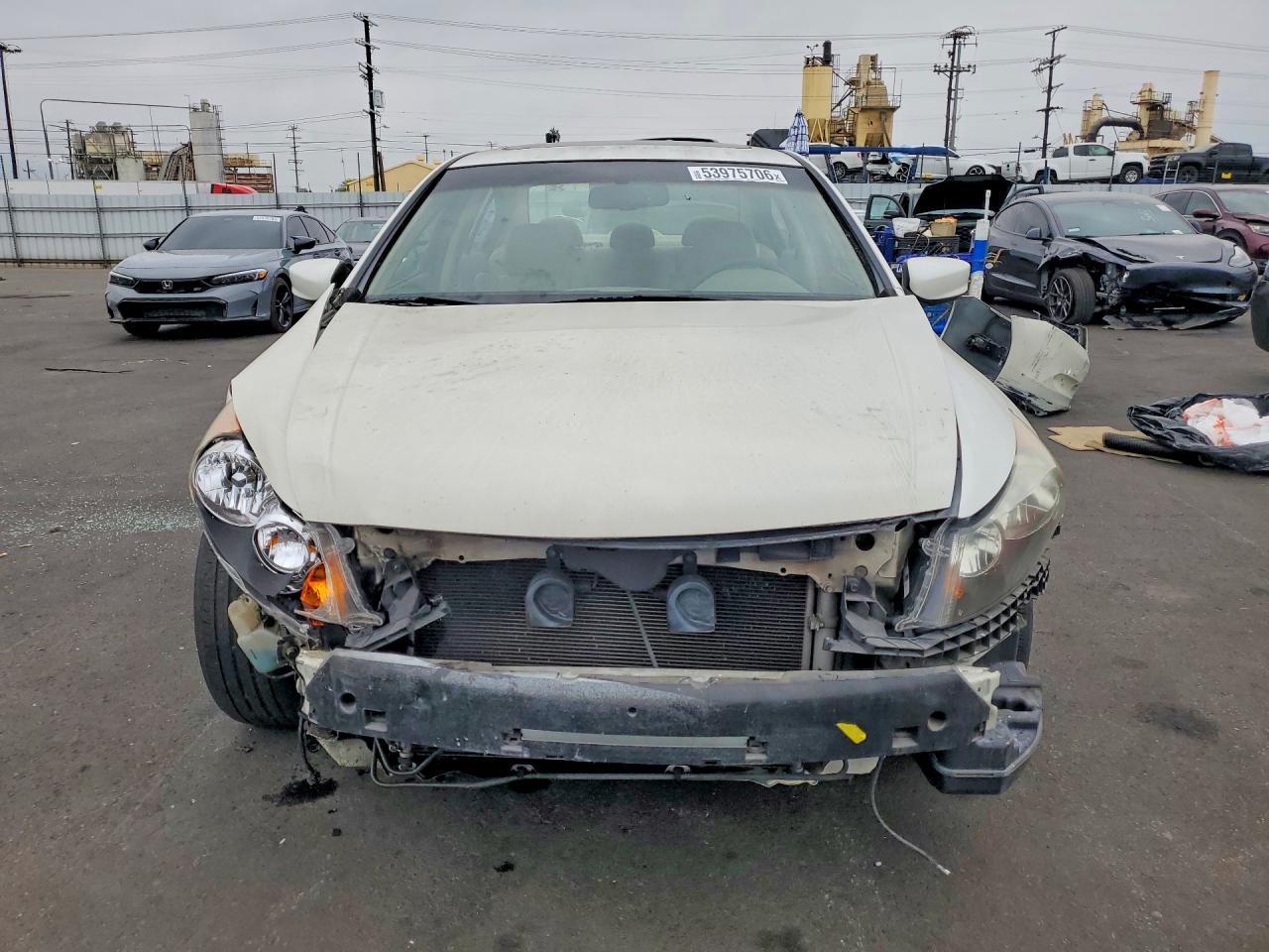 2010 Honda Accord Exl Белый vin: 1HGCP3F83AA001955