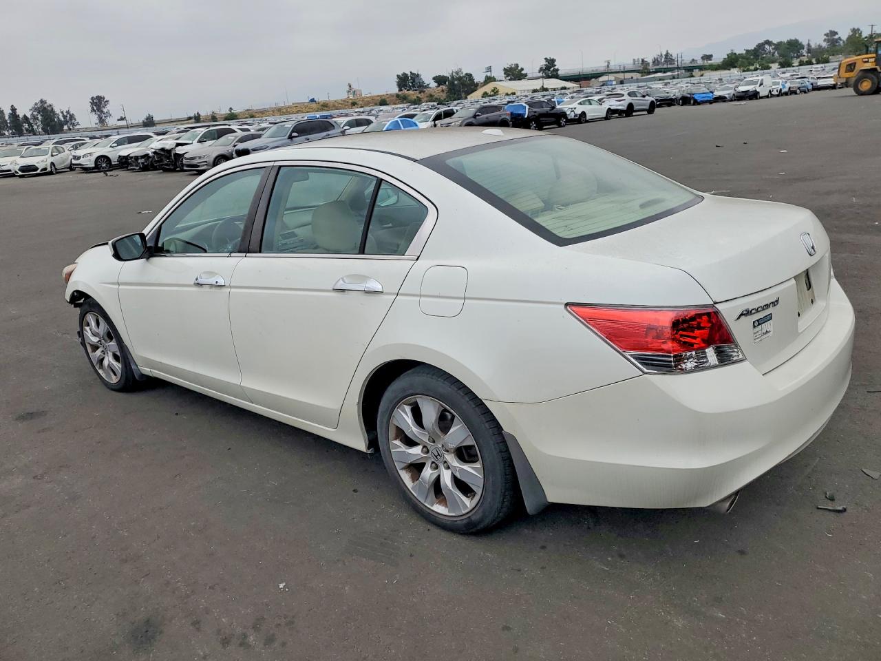 2010 Honda Accord Exl Белый vin: 1HGCP3F83AA001955
