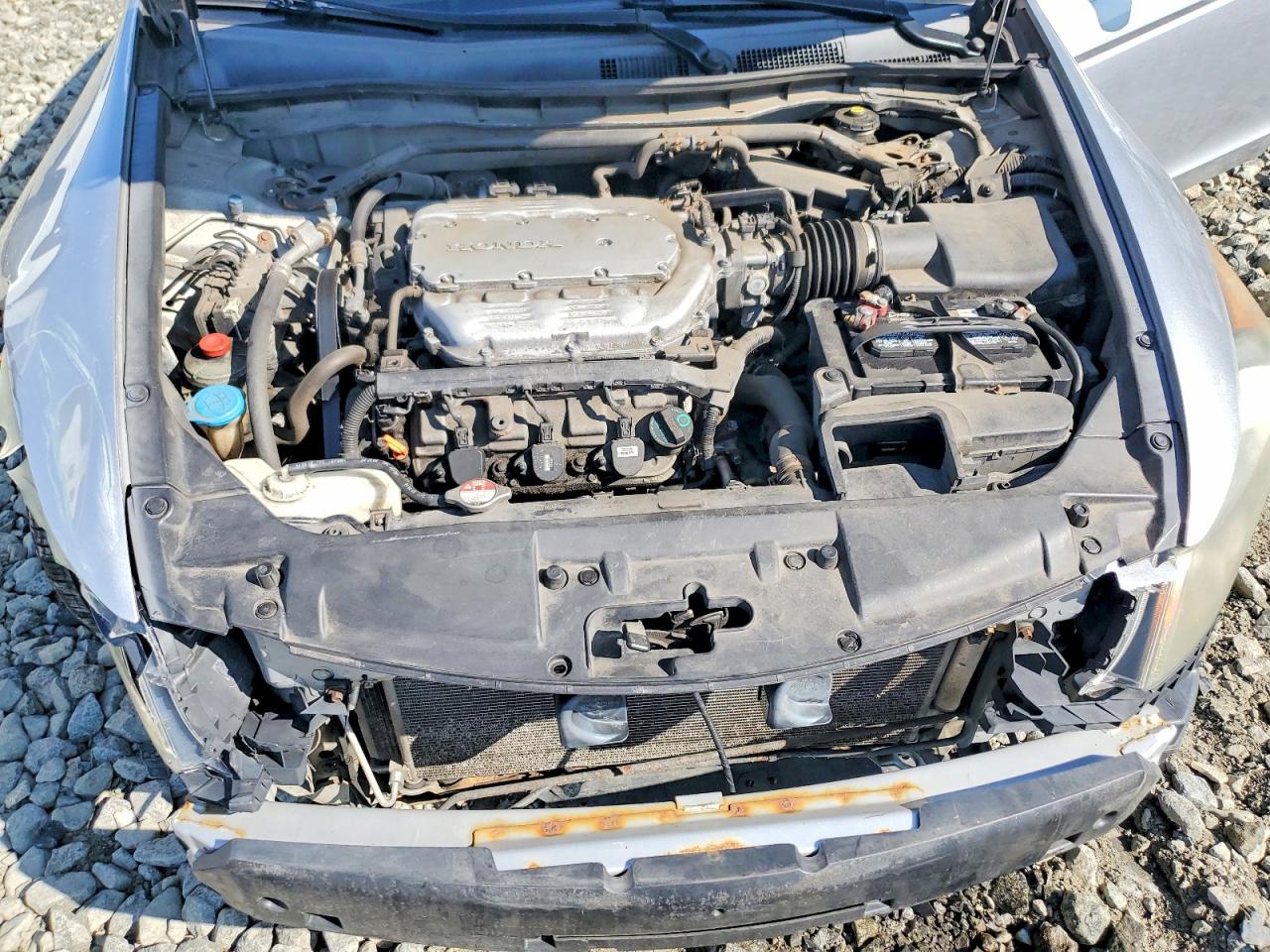 2010 Honda Accord Exl Silver vin: 1HGCP3F83AA006492