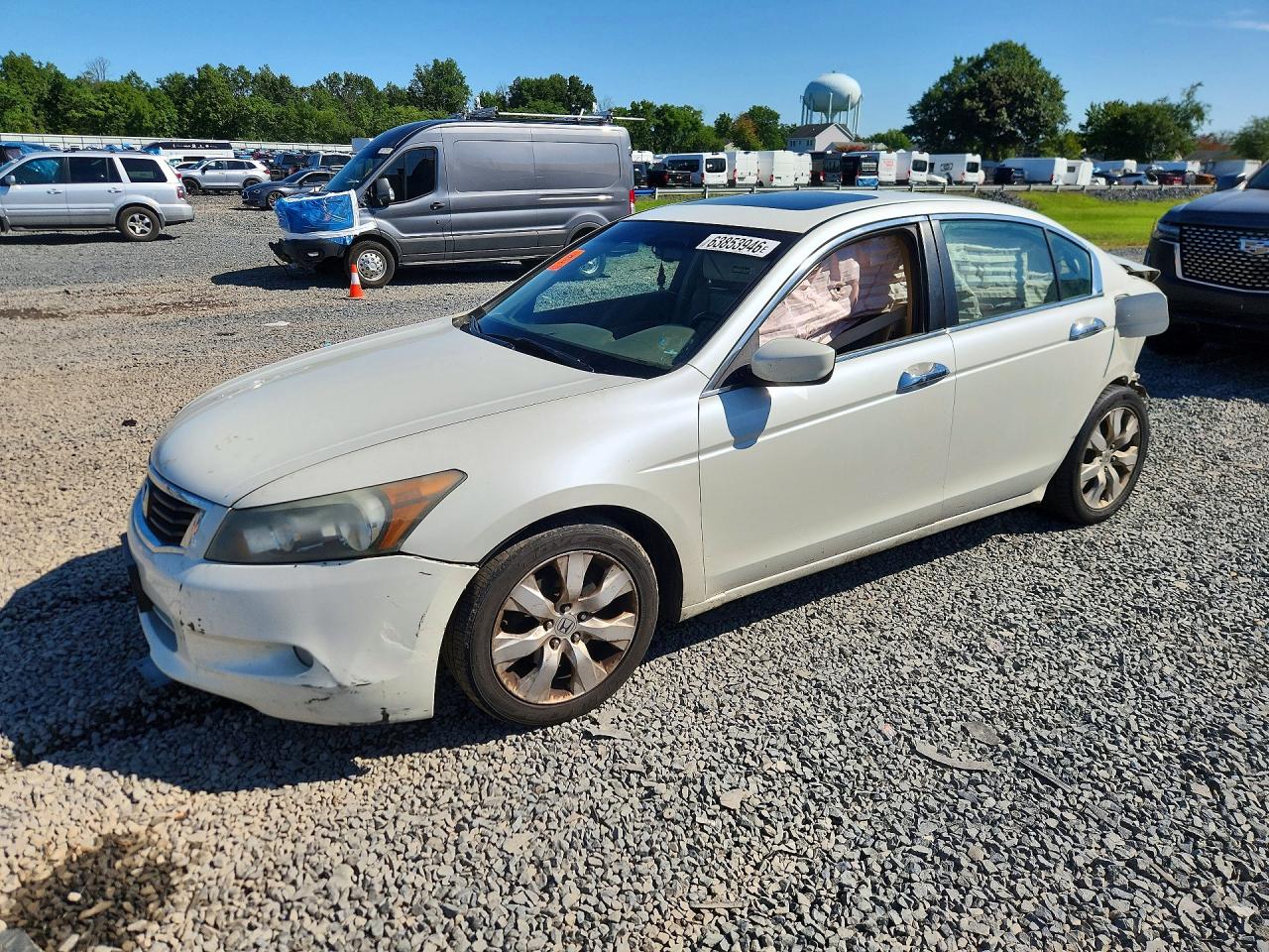 2010 Honda Accord Exl White vin: 1HGCP3F83AA009473