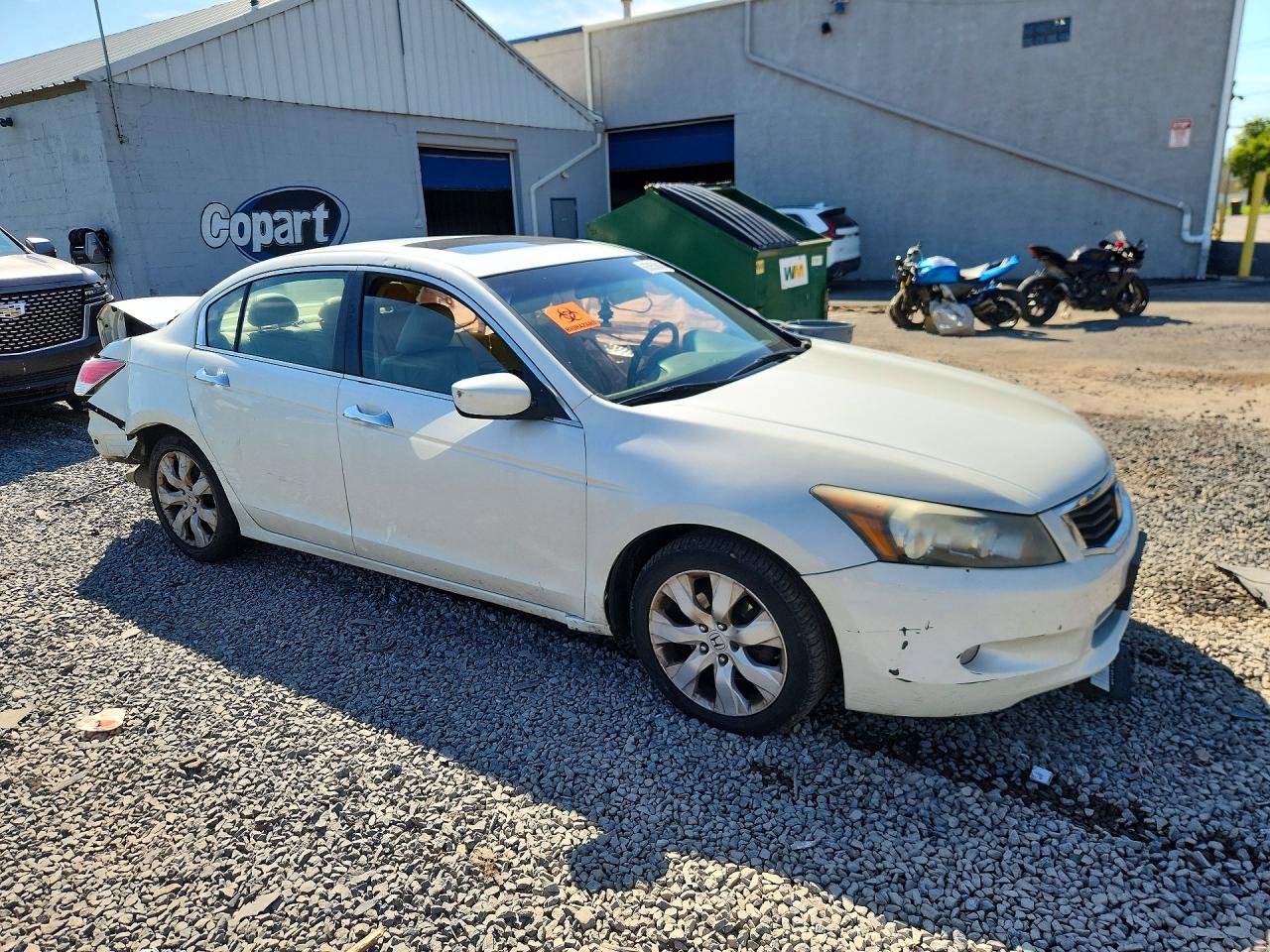 2010 Honda Accord Exl White vin: 1HGCP3F83AA009473