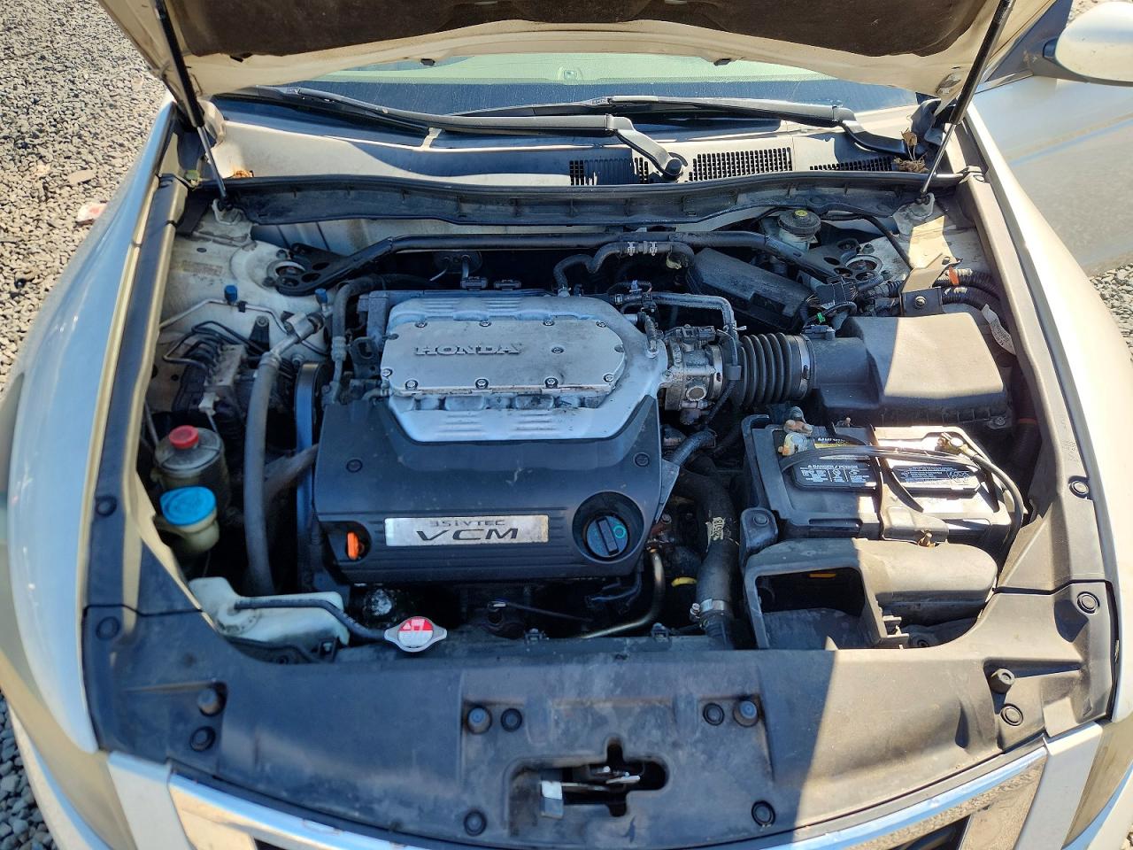 2010 Honda Accord Exl White vin: 1HGCP3F83AA009473