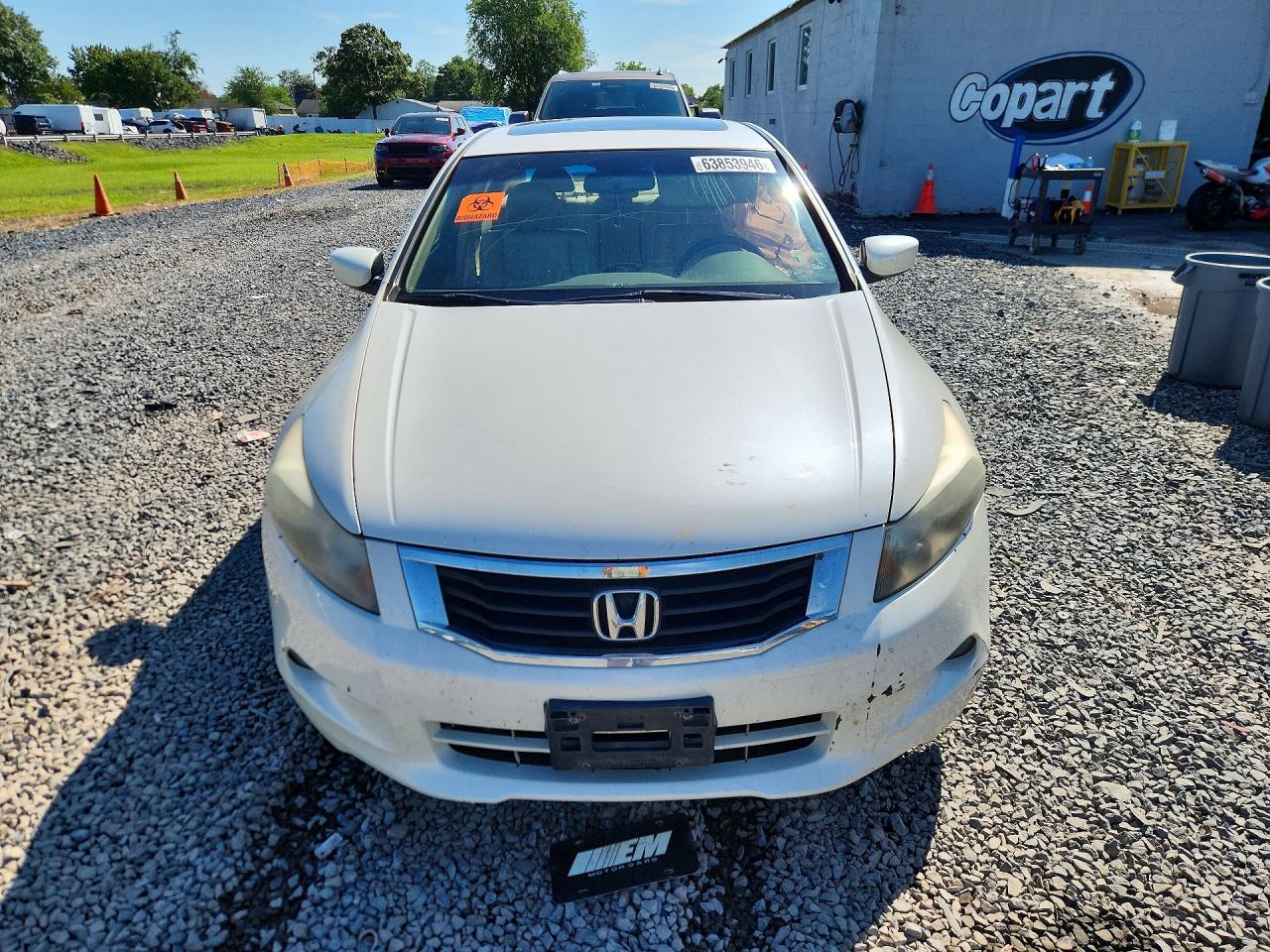 2010 Honda Accord Exl White vin: 1HGCP3F83AA009473