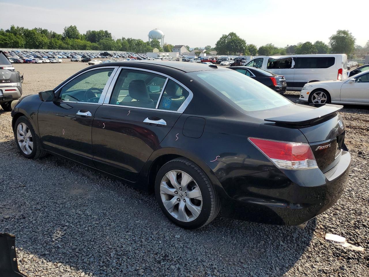 2010 Honda Accord Exl Black vin: 1HGCP3F83AA009859
