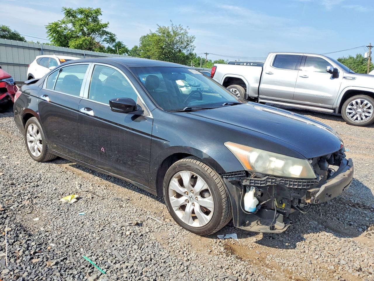 2010 Honda Accord Exl Black vin: 1HGCP3F83AA009859