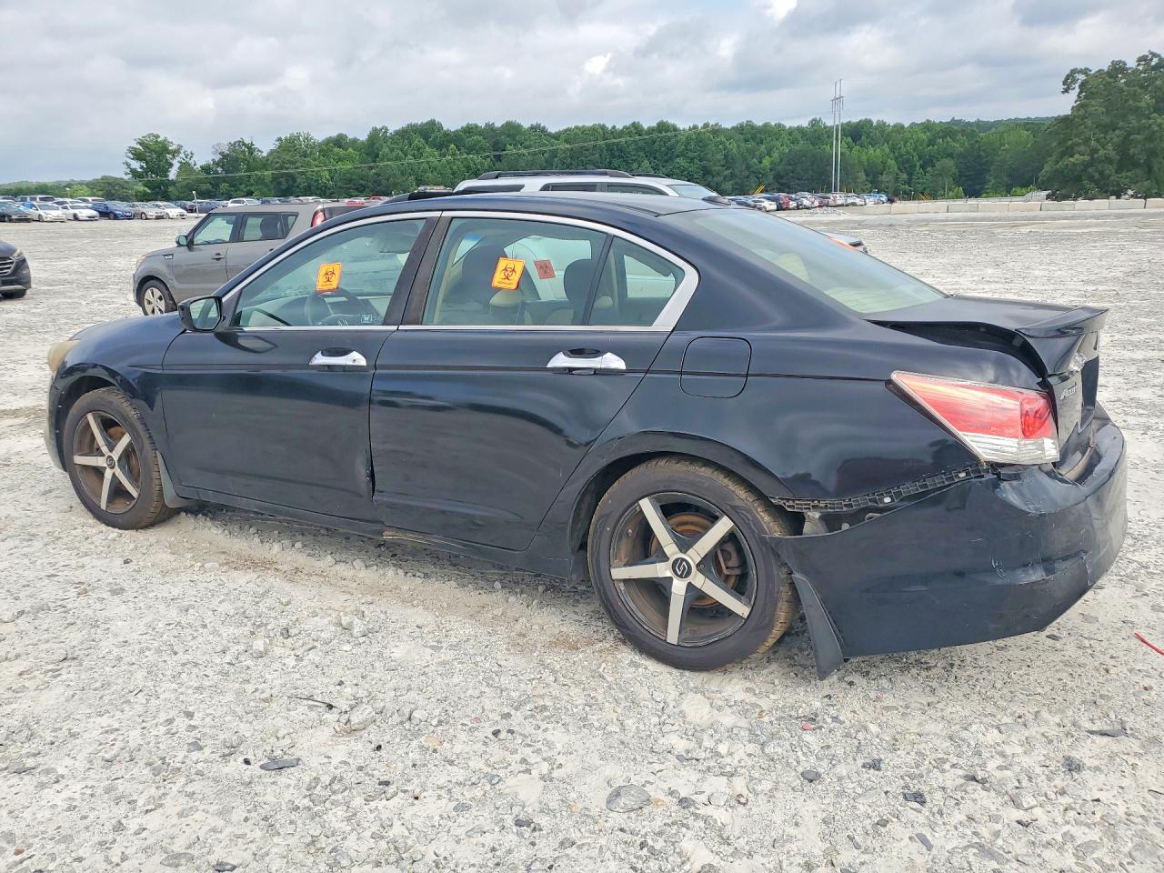 2010 Honda Accord Exl Black vin: 1HGCP3F83AA012678