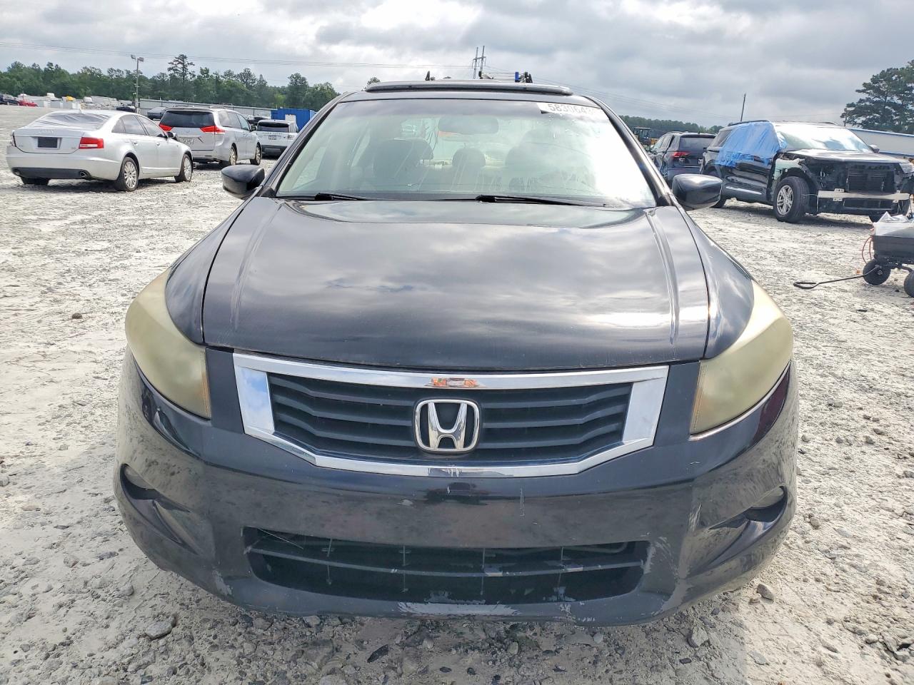 2010 Honda Accord Exl Black vin: 1HGCP3F83AA012678