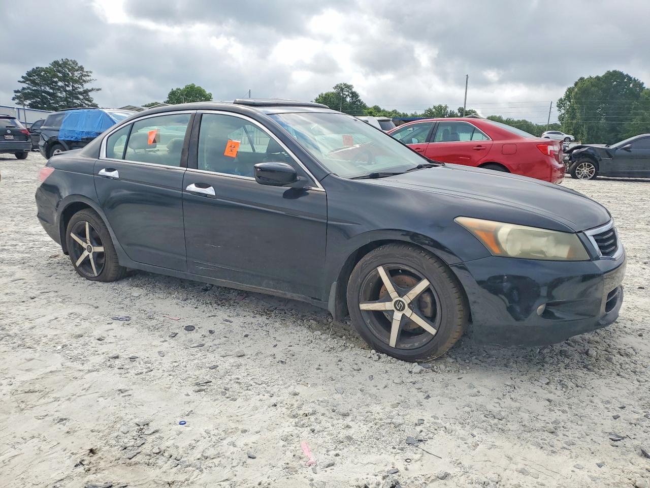 2010 Honda Accord Exl Black vin: 1HGCP3F83AA012678