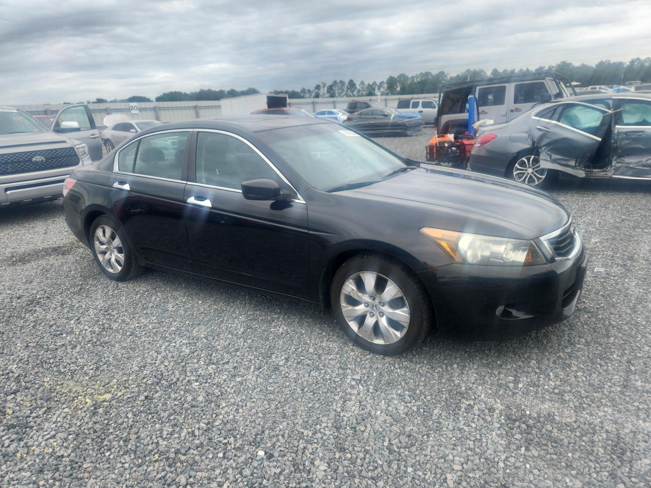 2010 Honda Accord Exl Black vin: 1HGCP3F83AA019002