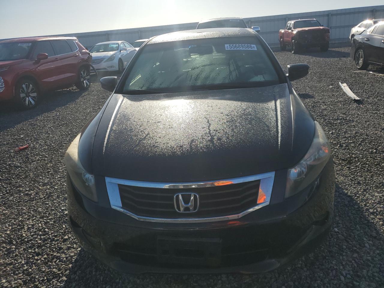2010 Honda Accord Exl Black vin: 1HGCP3F83AA019002