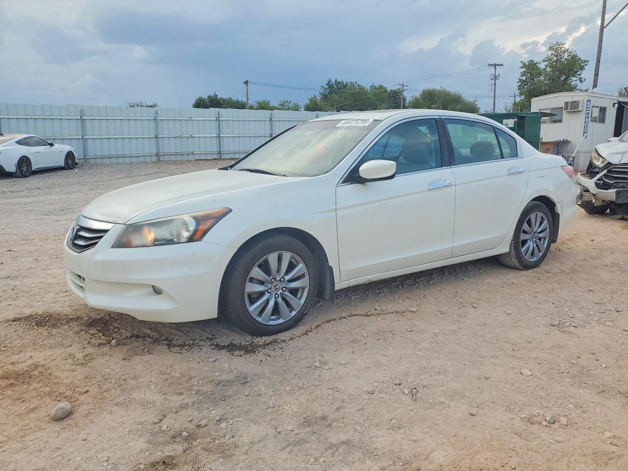 2011 Honda Accord Exl White vin: 1HGCP3F83BA004016