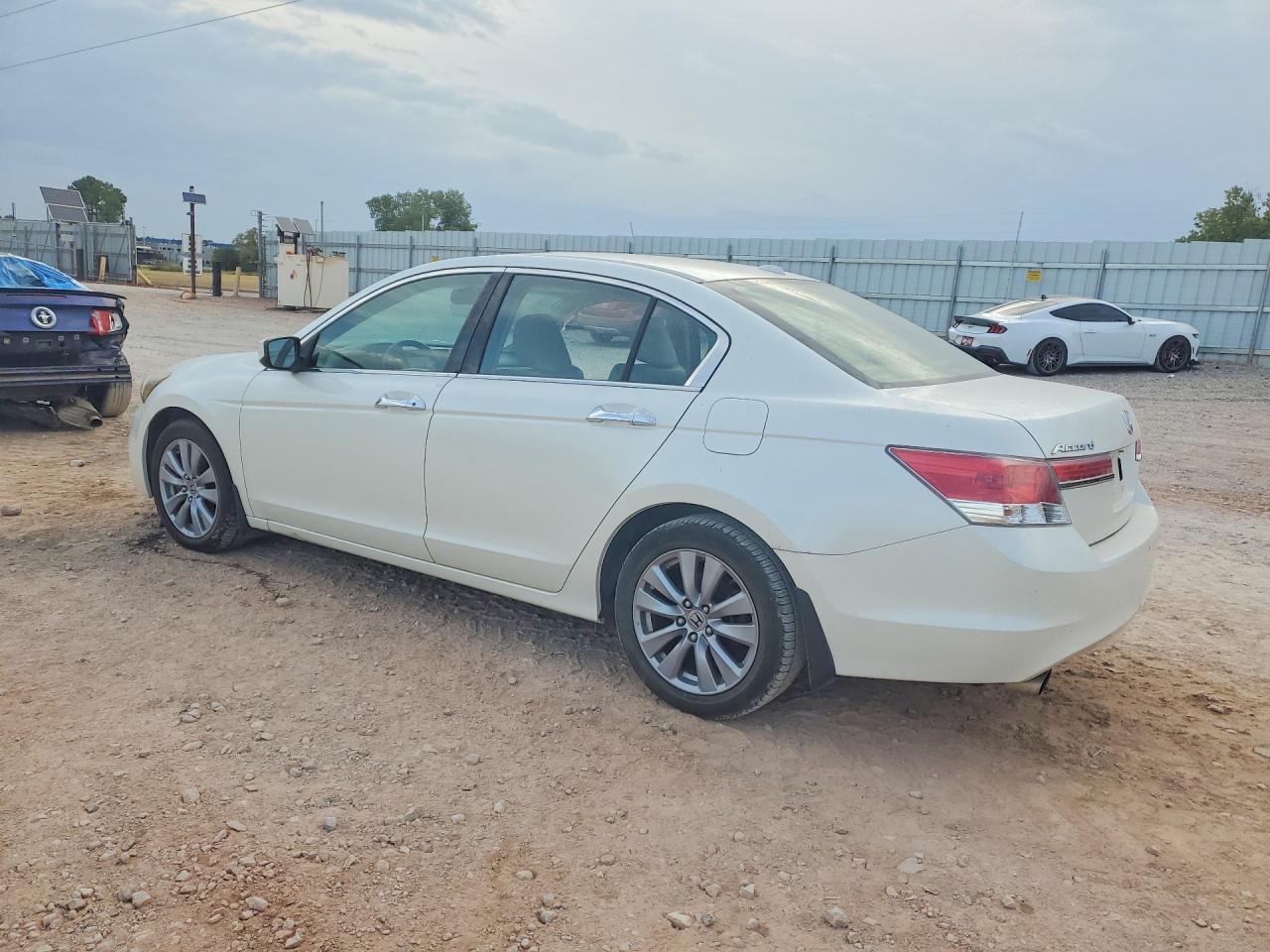2011 Honda Accord Exl White vin: 1HGCP3F83BA004016