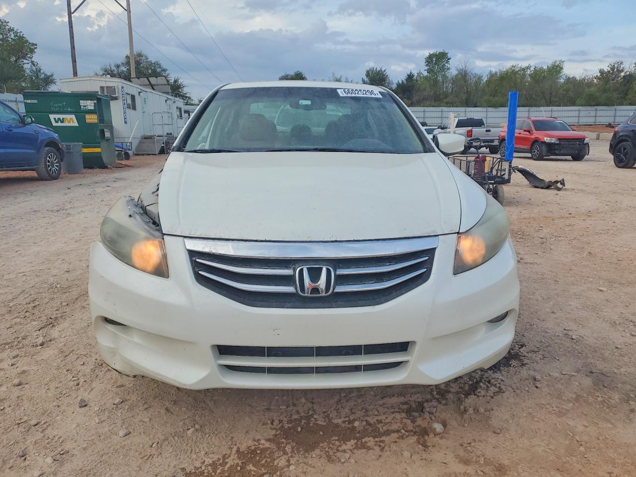 2011 Honda Accord Exl White vin: 1HGCP3F83BA004016