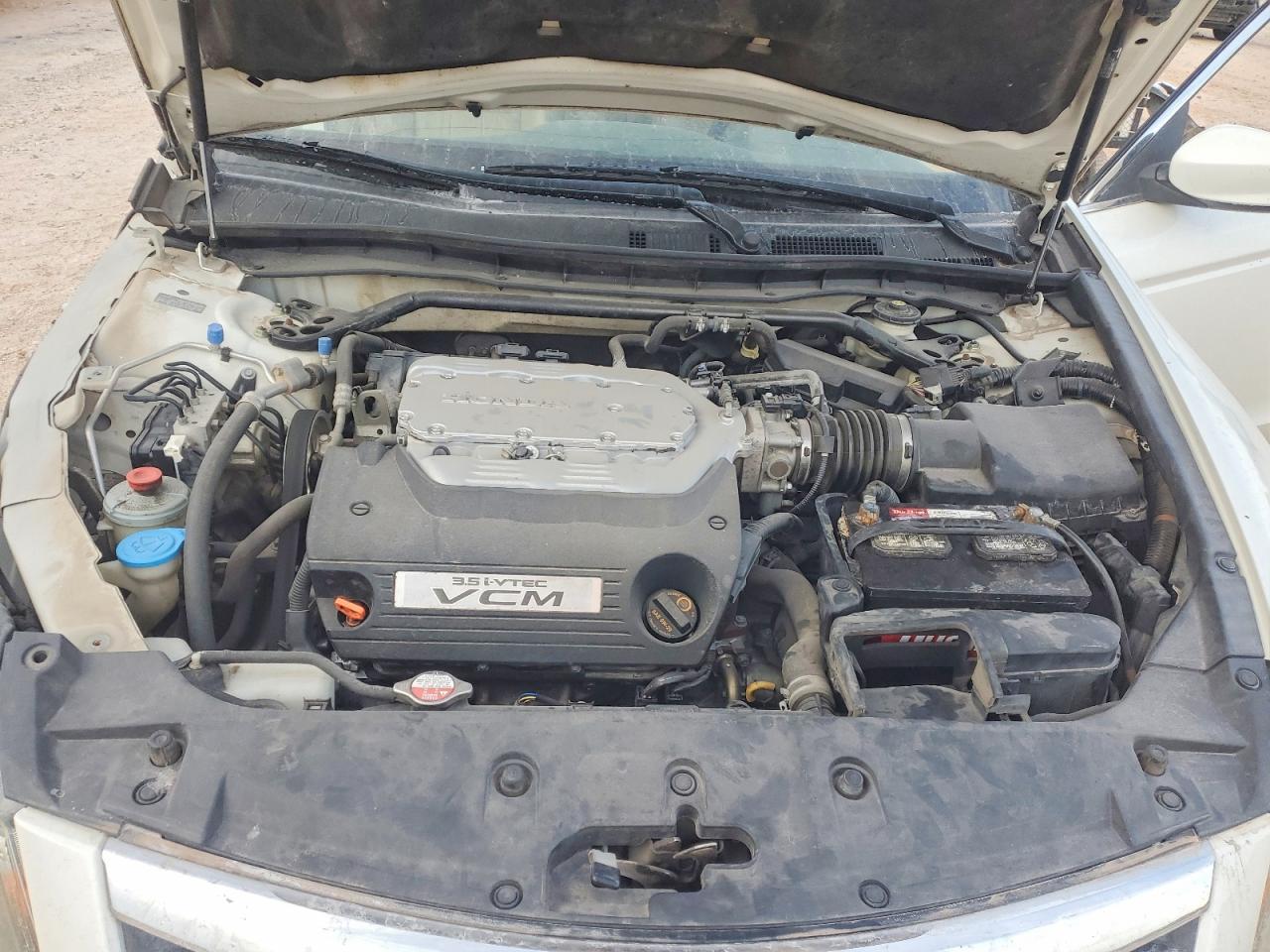 2011 Honda Accord Exl White vin: 1HGCP3F83BA004016
