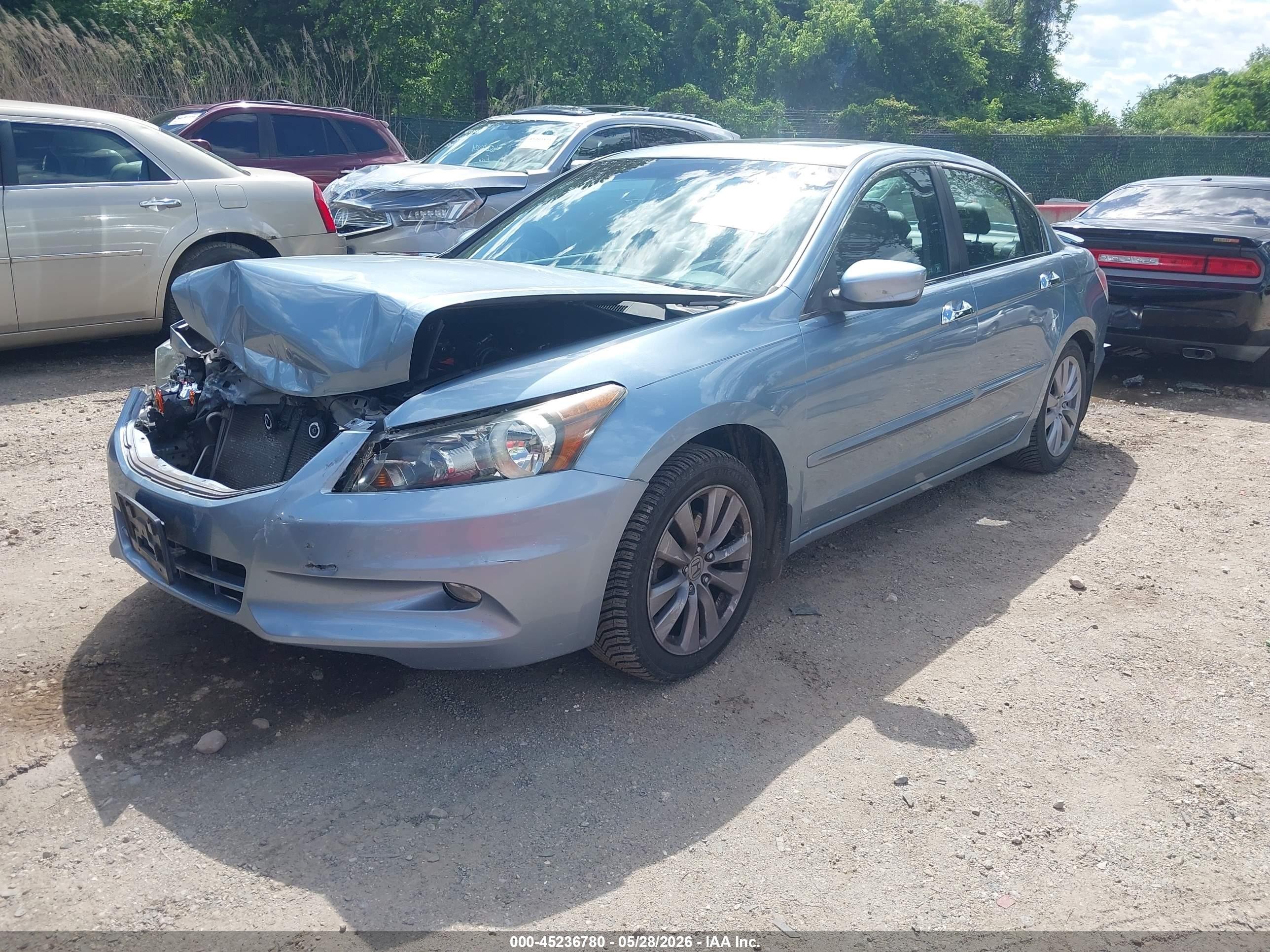 2011 Honda Accord 3.5 Ex-l Light Blue vin: 1HGCP3F83BA014397