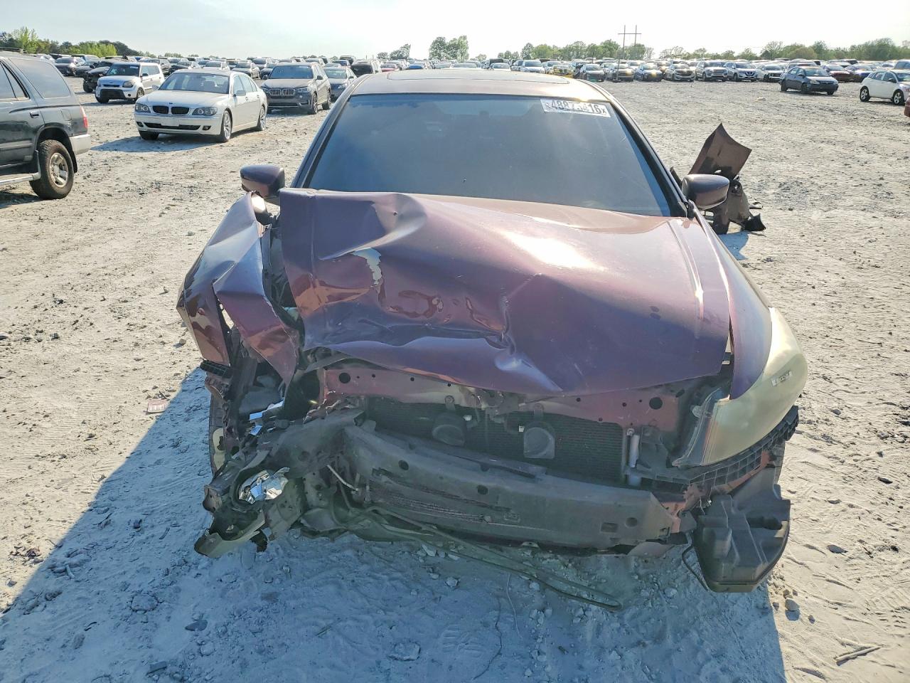 2011 Honda Accord Exl Maroon vin: 1HGCP3F83BA017669