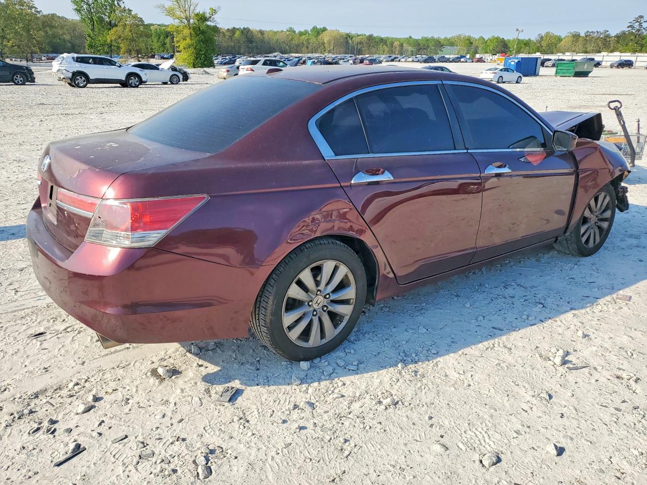 2011 Honda Accord Exl Maroon vin: 1HGCP3F83BA017669