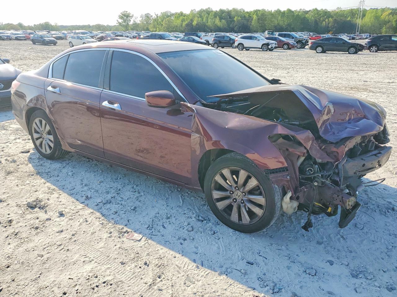 2011 Honda Accord Exl Maroon vin: 1HGCP3F83BA017669