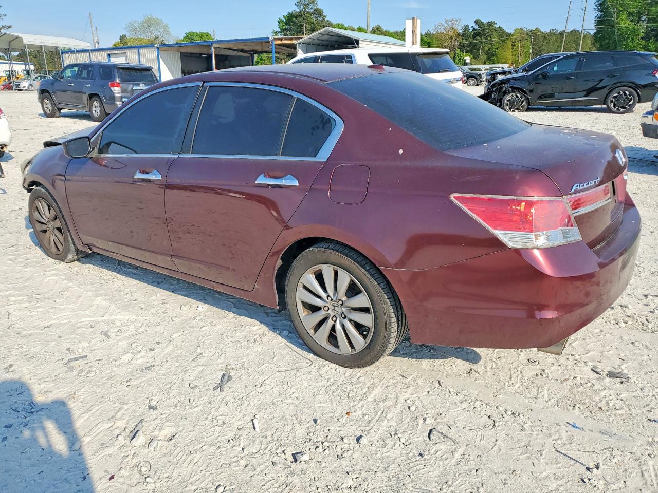 2011 Honda Accord Exl Maroon vin: 1HGCP3F83BA017669