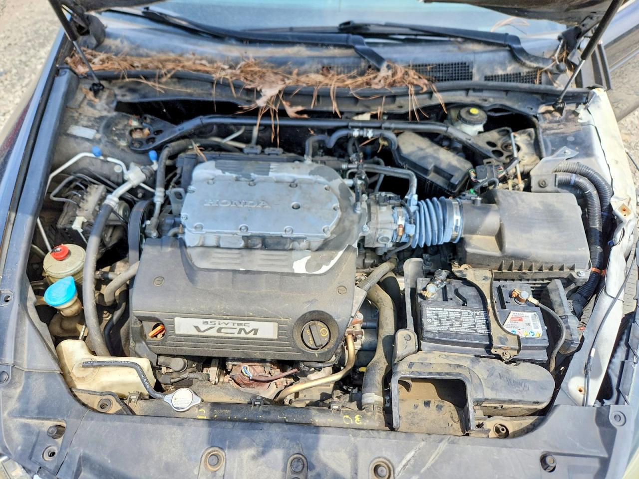 2011 Honda Accord Exl Black vin: 1HGCP3F83BA018739