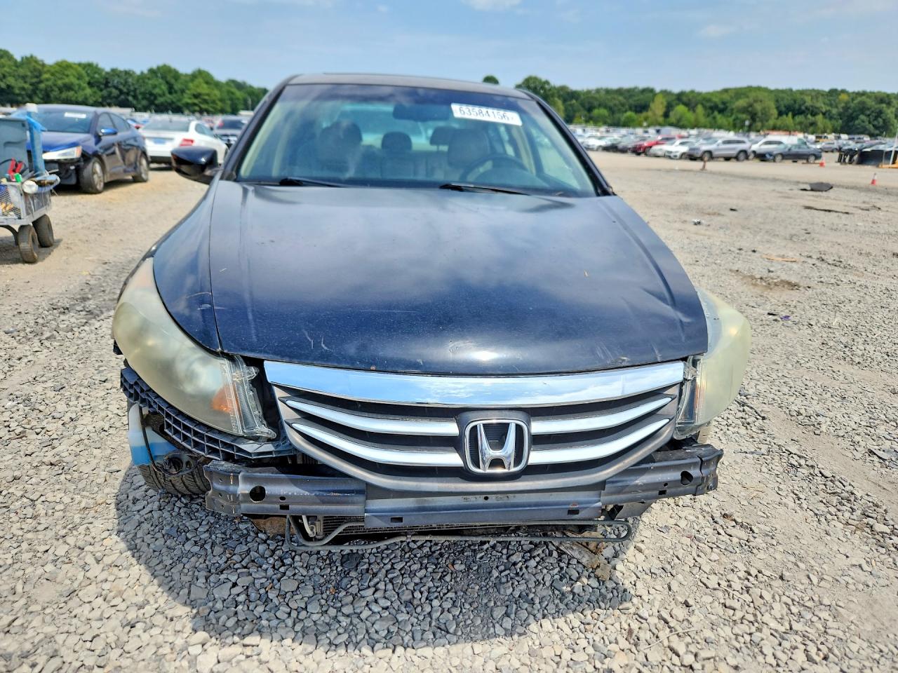 2011 Honda Accord Exl Black vin: 1HGCP3F83BA018739