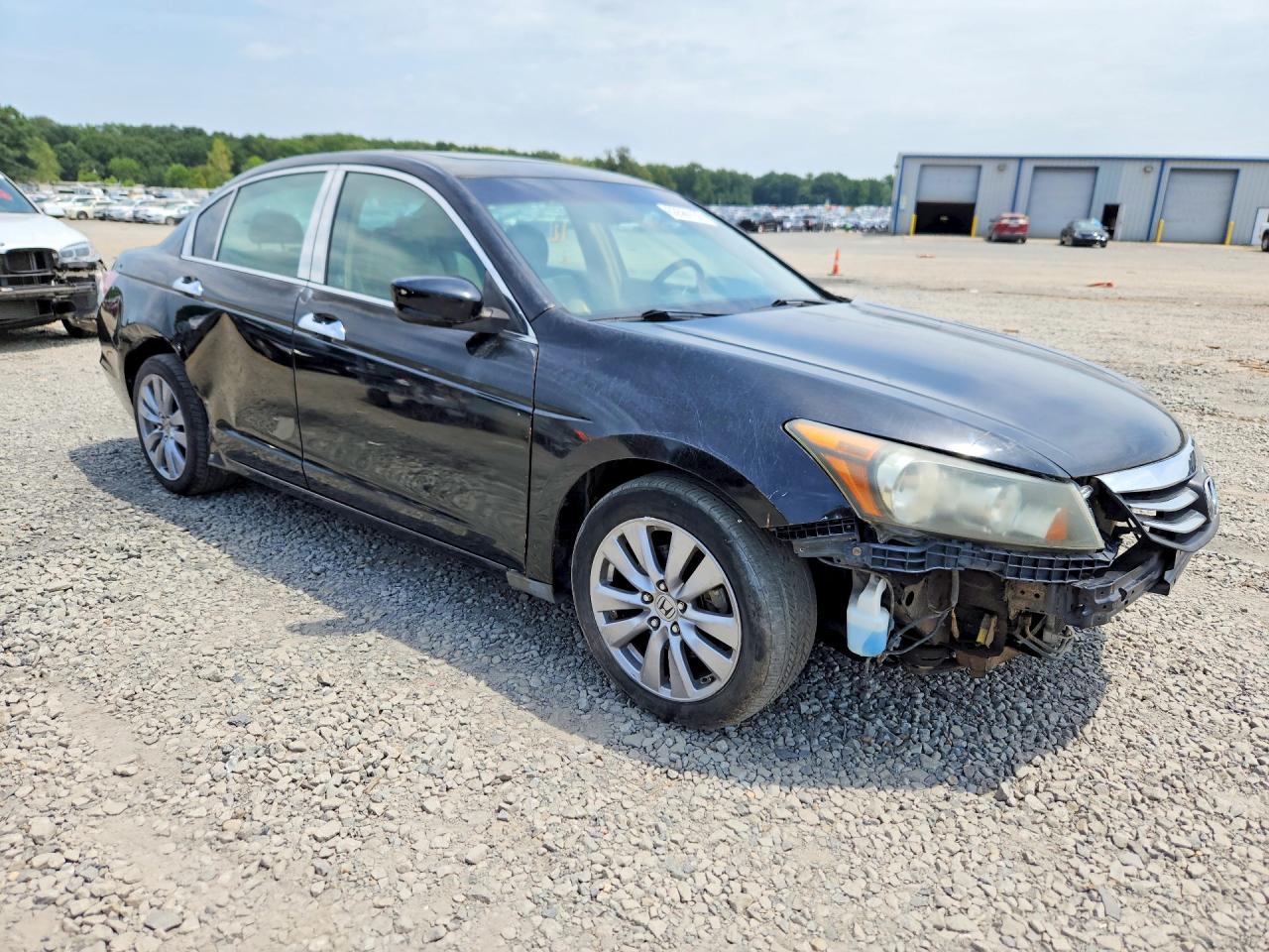 2011 Honda Accord Exl Black vin: 1HGCP3F83BA018739
