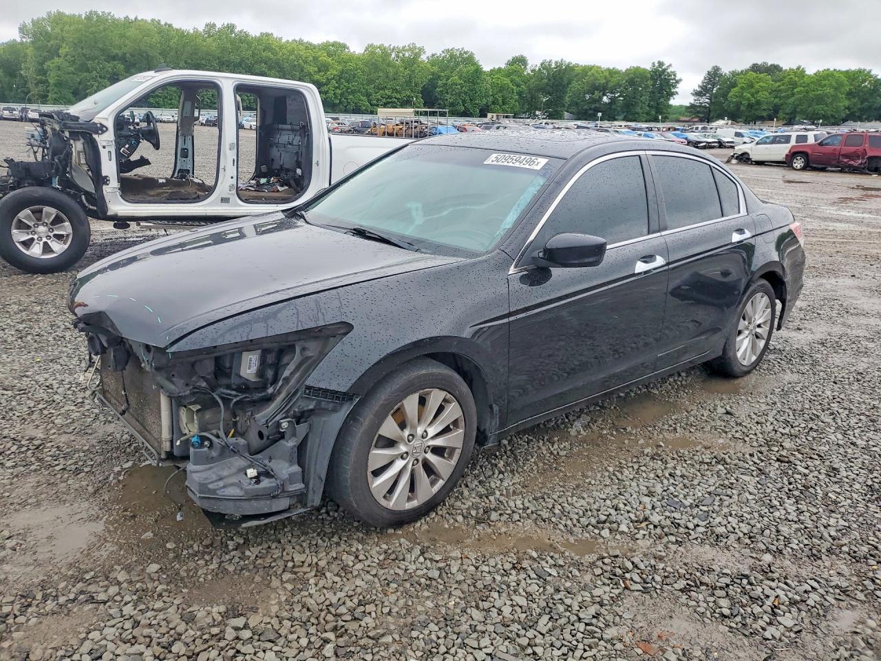 2011 Honda Accord Exl Black vin: 1HGCP3F83BA026064