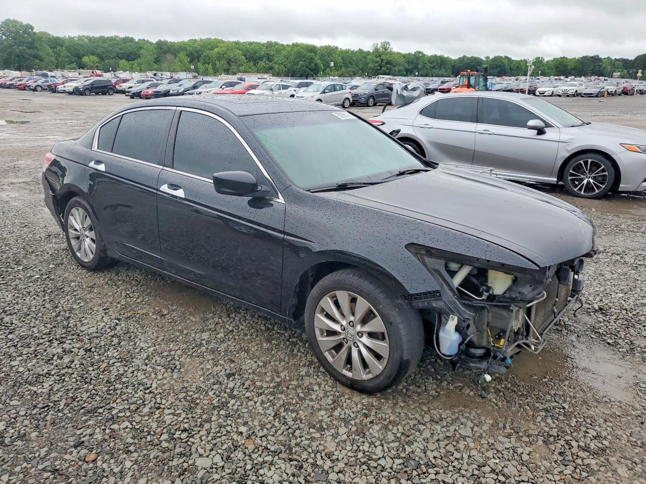 2011 Honda Accord Exl Black vin: 1HGCP3F83BA026064
