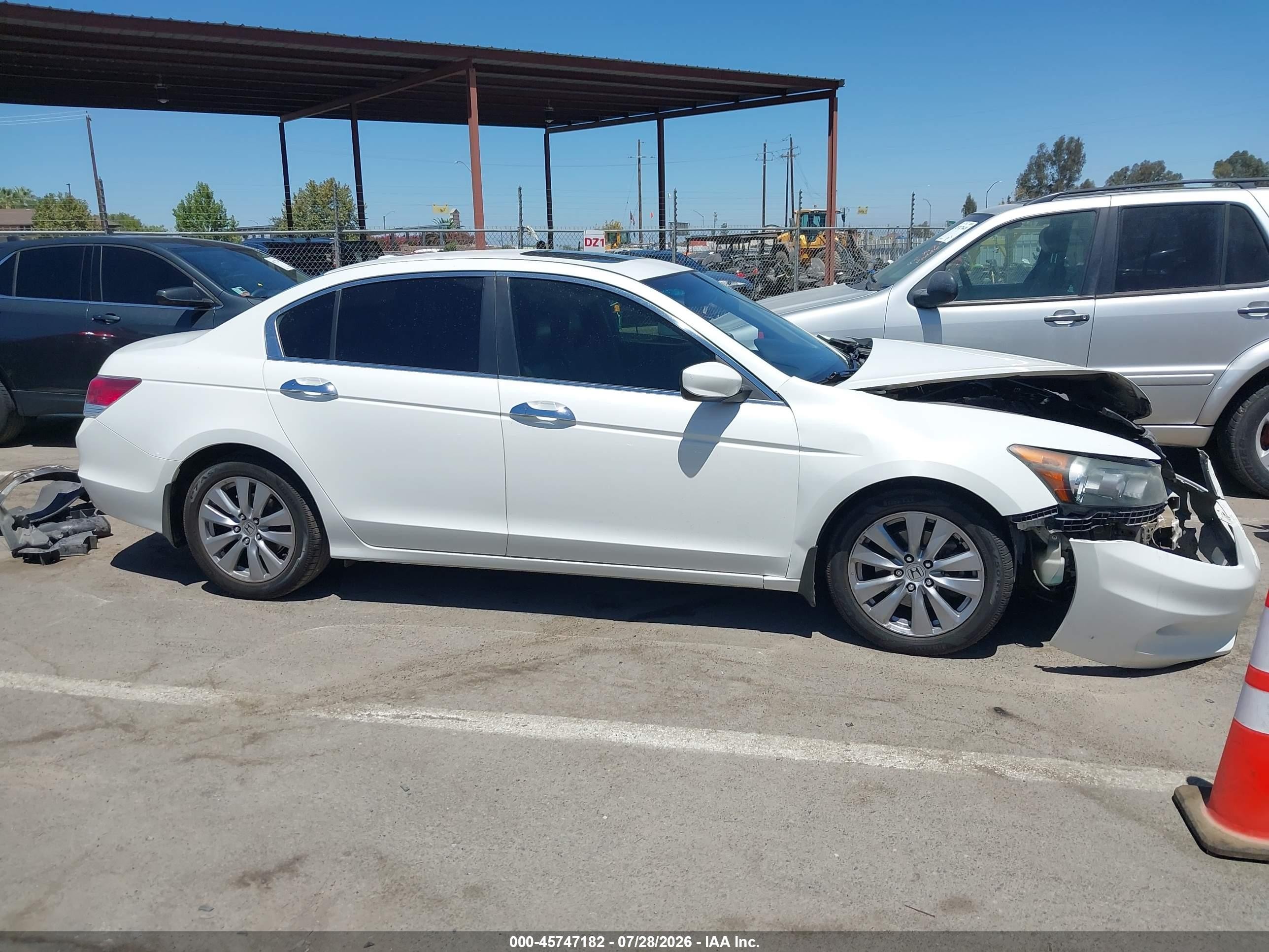 2011 Honda Accord 3.5 Ex-l White vin: 1HGCP3F83BA029613