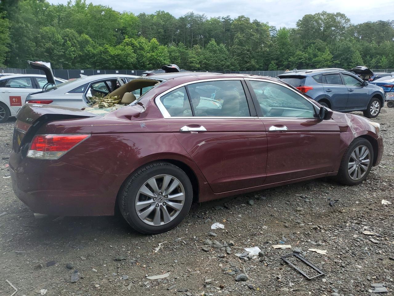 2012 Honda Accord Exl Maroon vin: 1HGCP3F83CA013784